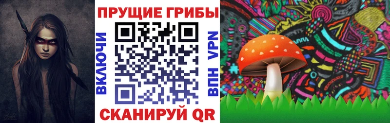 Псилоцибиновые грибы ЛСД  Купить где  Вязники 